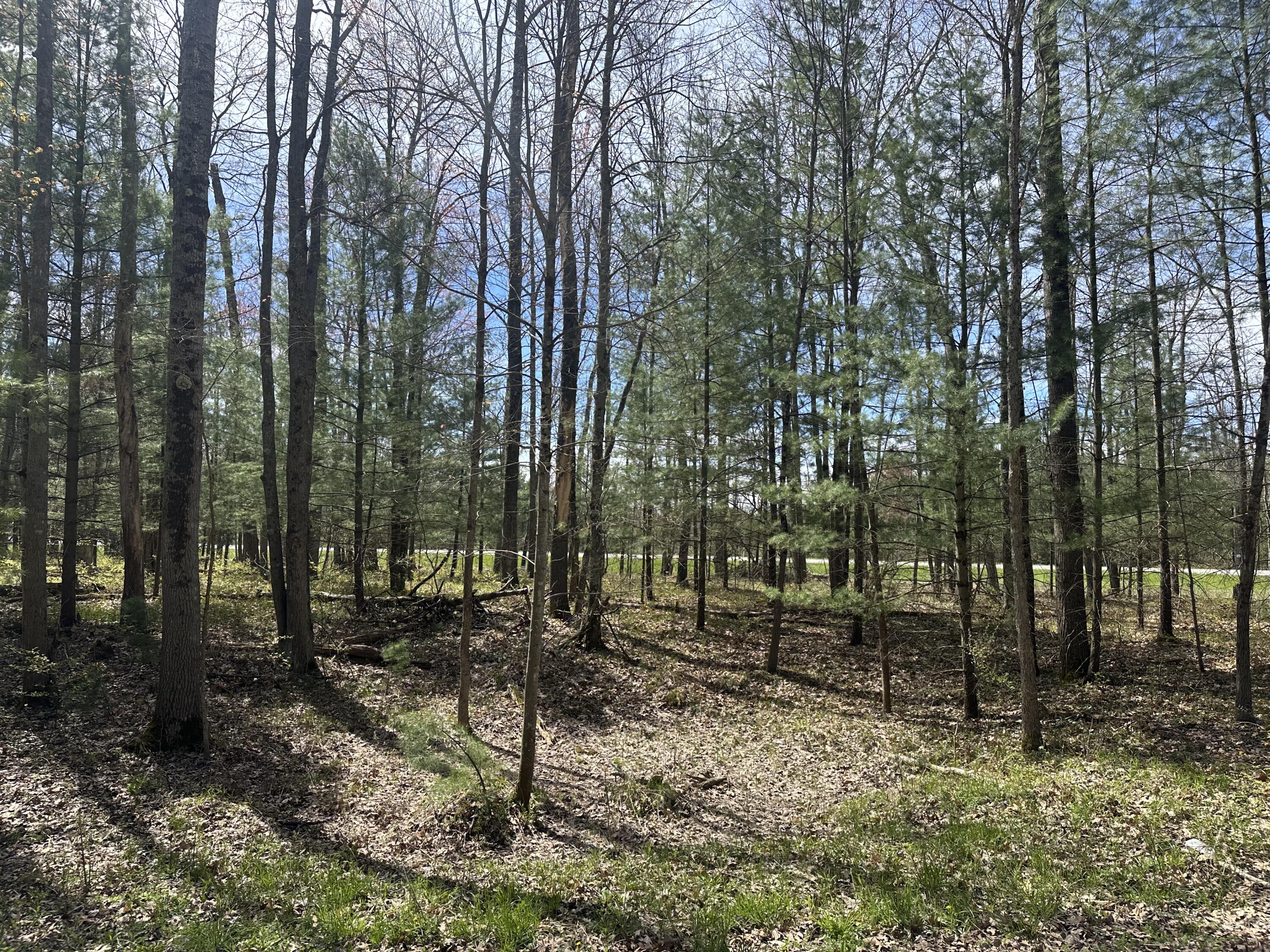 0 South Shepperd Road Branch, MI 49402 - Photo 2 of 15 IMG_8743