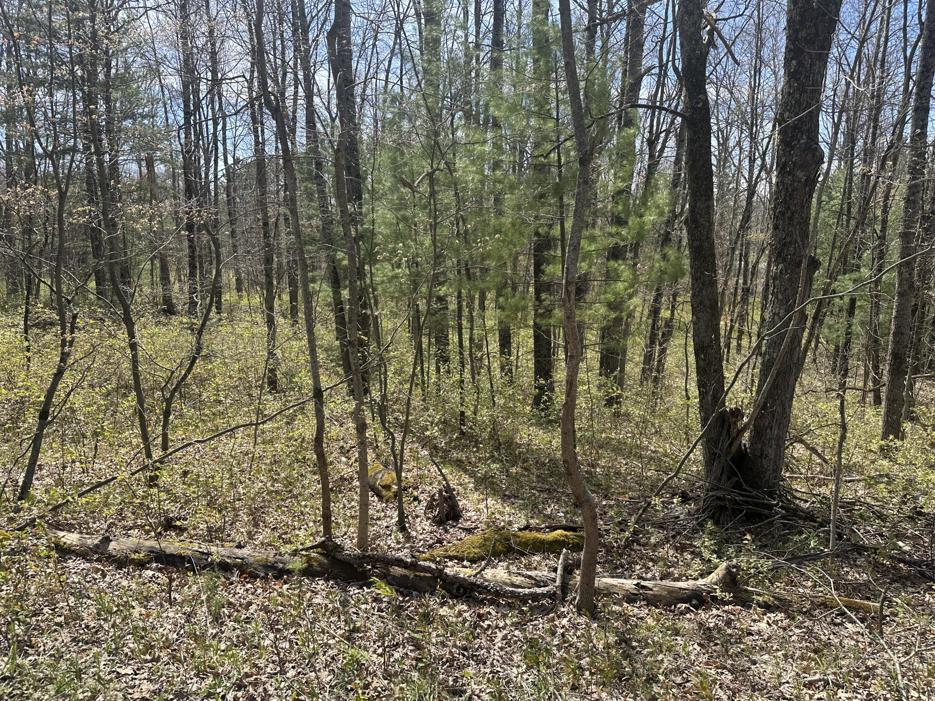 0 South Shepperd Road Branch, MI 49402 - Photo 5 of 15 IMG_8732