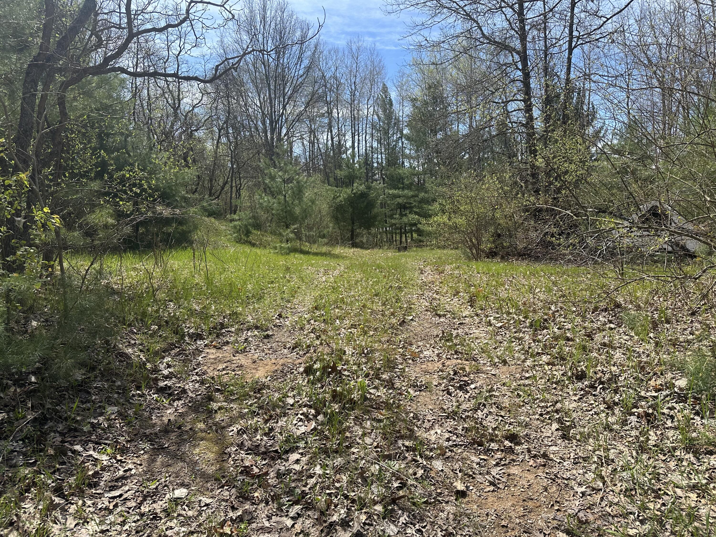 0 South Shepperd Road Branch, MI 49402 - Photo 9 of 15 IMG_8736