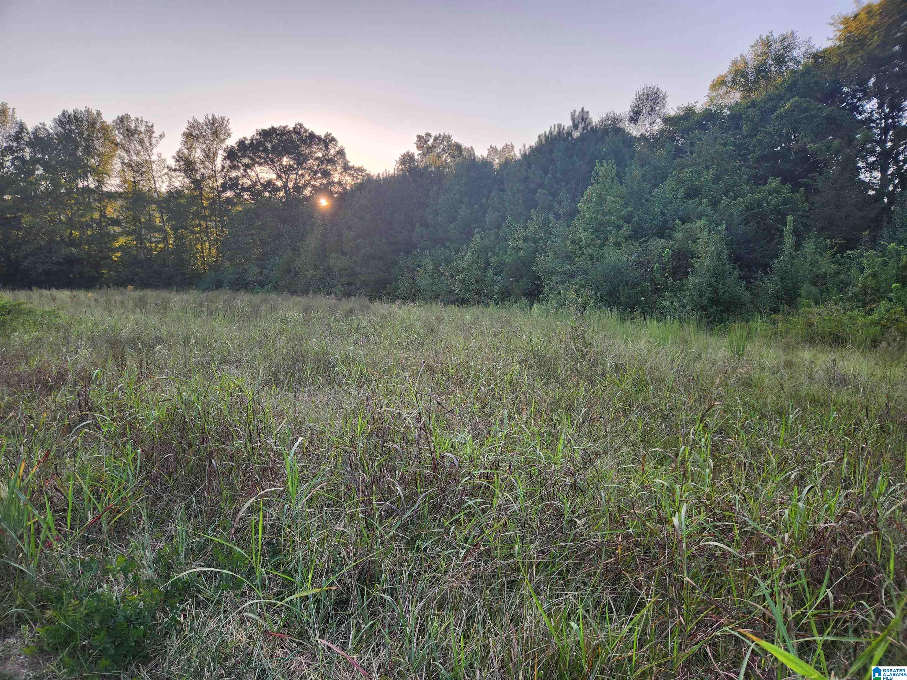 14843 Gallant Road Gallant, AL 35972 - Photo 9 of 100