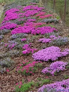 $399,900 | 4501 Nambe Circle, Richmond, VA 23237