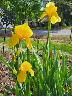 $399,900 | 4501 Nambe Circle, Richmond, VA 23237