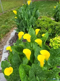 $399,900 | 4501 Nambe Circle, Richmond, VA 23237