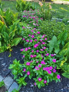 $399,900 | 4501 Nambe Circle, Richmond, VA 23237