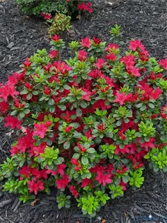 $399,900 | 4501 Nambe Circle, Richmond, VA 23237