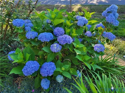 $399,900 | 4501 Nambe Circle, Richmond, VA 23237