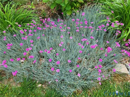 $399,900 | 4501 Nambe Circle, Richmond, VA 23237