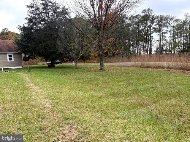 a view of a yard with a tree