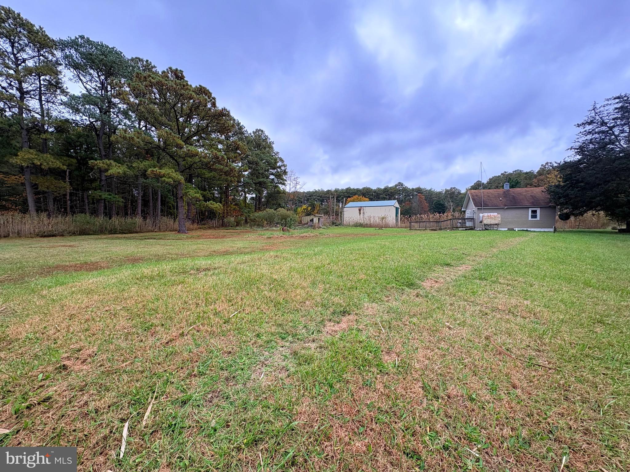 2145 Farm Creek Road Wingate, MD 21675 - Photo 18 of 24 a view of a field with a tree in front of it