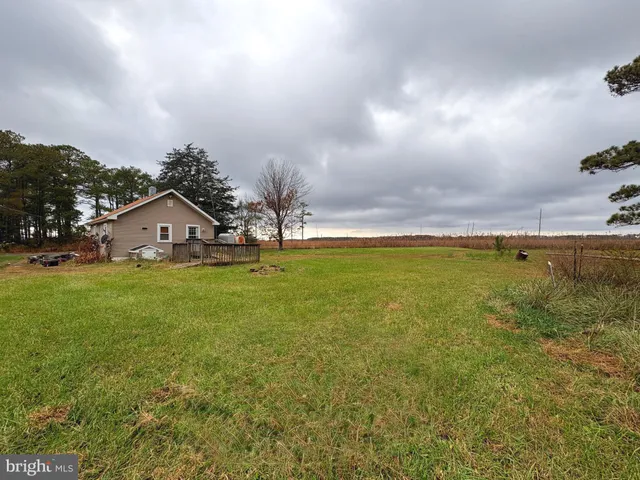 a view of a house with a yard and a large tree