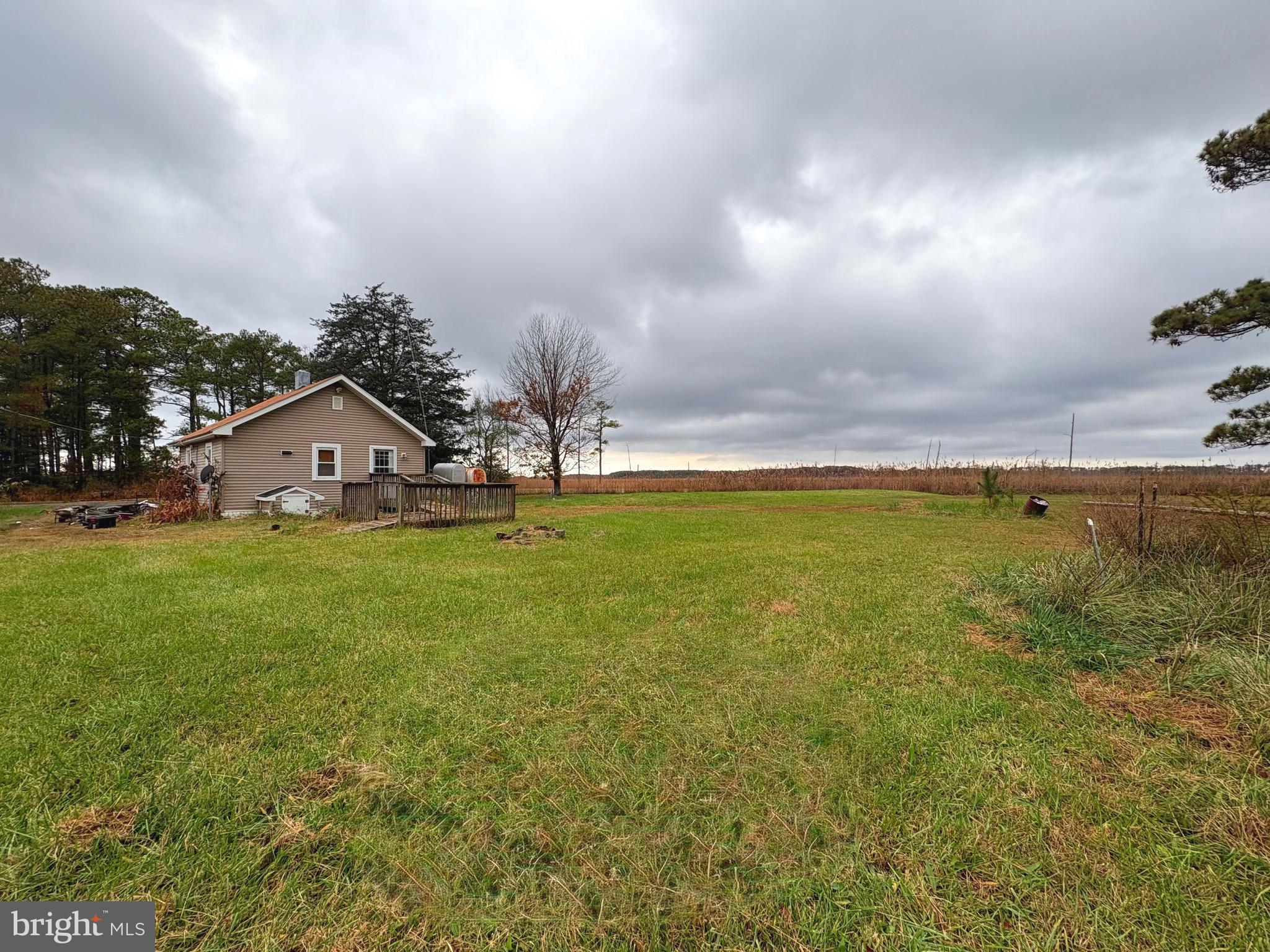 2145 Farm Creek Road Wingate, MD 21675 - Photo 19 of 24 a view of a house with a yard and a large tree
