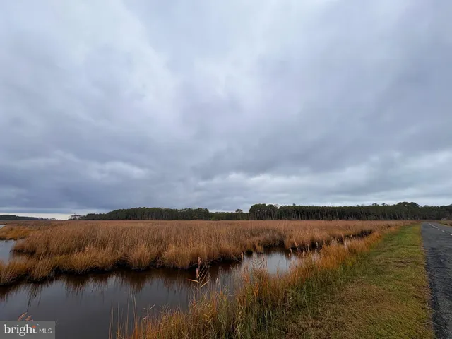 a view of lake with green space