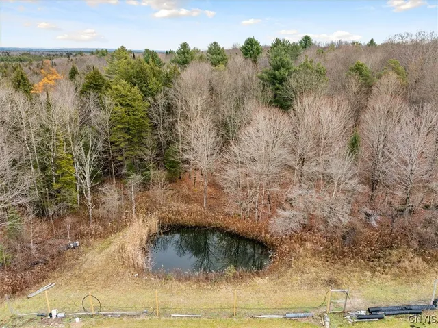 $319,900 | 11338 Highway 12, Boonville, NY 13309