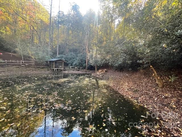 Xx Uplands Road Brevard, NC 28712 - Photo 14 of 19 Gallery Image 14