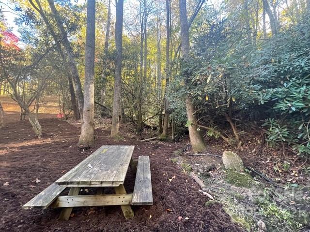 Xx Uplands Road Brevard, NC 28712 - Photo 17 of 19 Gallery Image 17