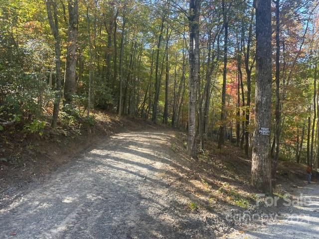 Xx Uplands Road Brevard, NC 28712 - Photo 4 of 19 Gallery Image 4