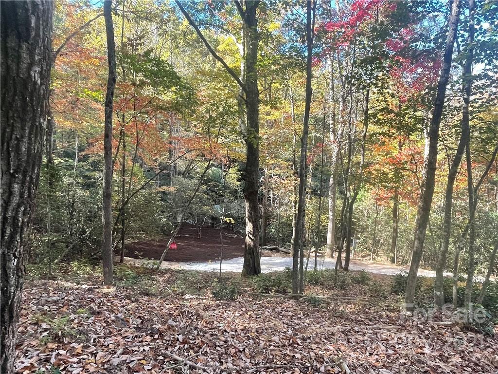 Xx Uplands Road Brevard, NC 28712 - Photo 5 of 19 Gallery Image 5