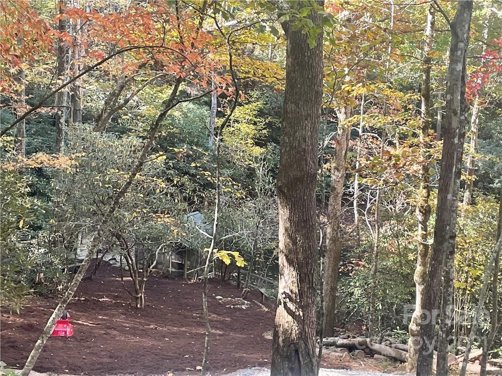 Xx Uplands Road Brevard, NC 28712 - Photo 6 of 19 Gallery Image 6
