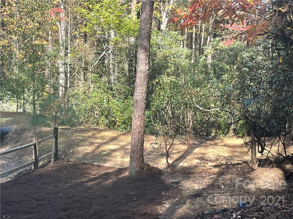 Xx Uplands Road Brevard, NC 28712 - Photo 9 of 19 Gallery Image 9
