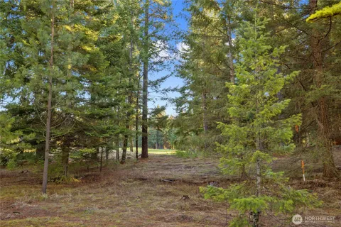a view of a yard with palm tree
