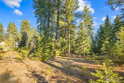 a view of a yard with trees