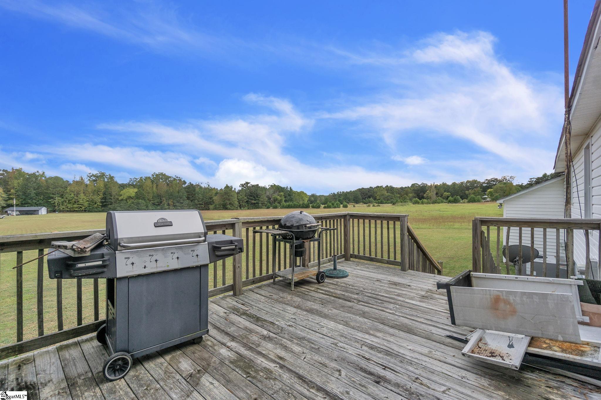 3230 Puckett Ferry Road Cross Hill, SC 29332 - Photo 22 of 28 Gallery Image 22
