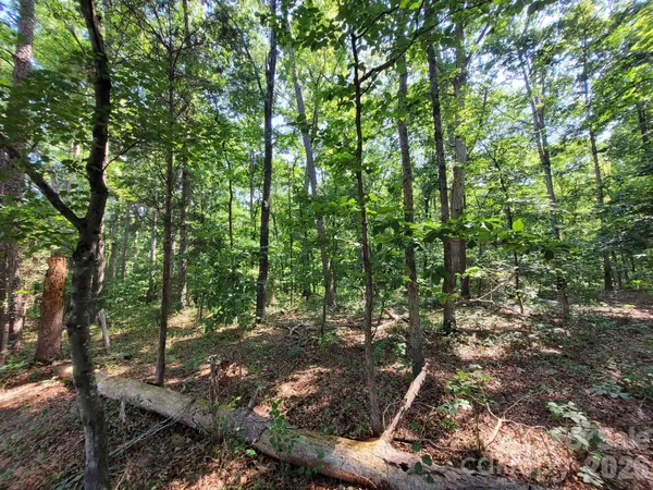 a view of outdoor space and green space