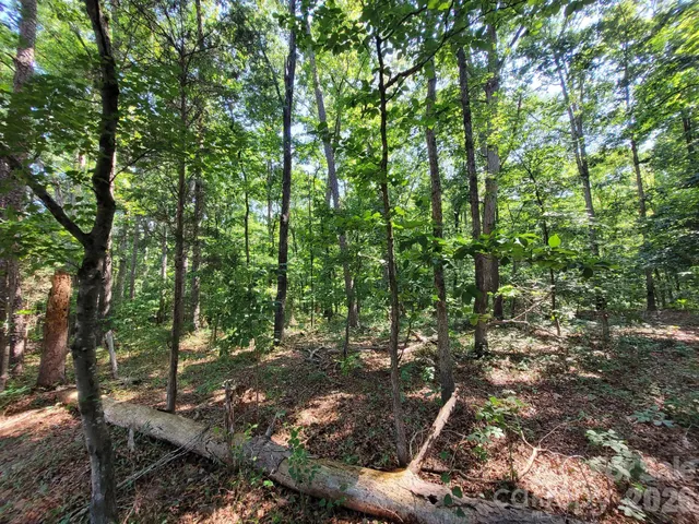 a view of outdoor space and green space