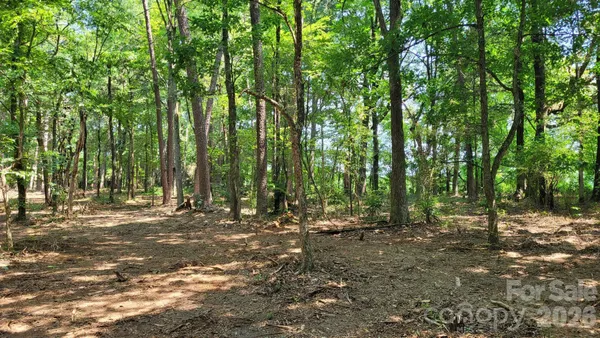 a view of outdoor space and trees