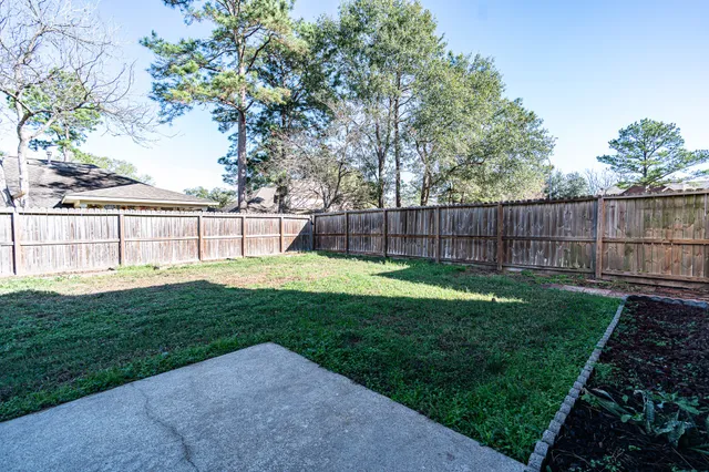 a view of a backyard with a garden and plants