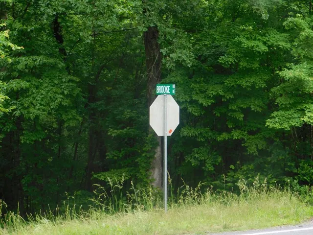 $708,600 | 0 Hwy 20, White, GA 30184