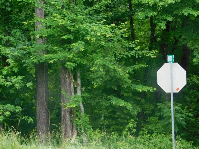 $708,600 | 0 Hwy 20, White, GA 30184