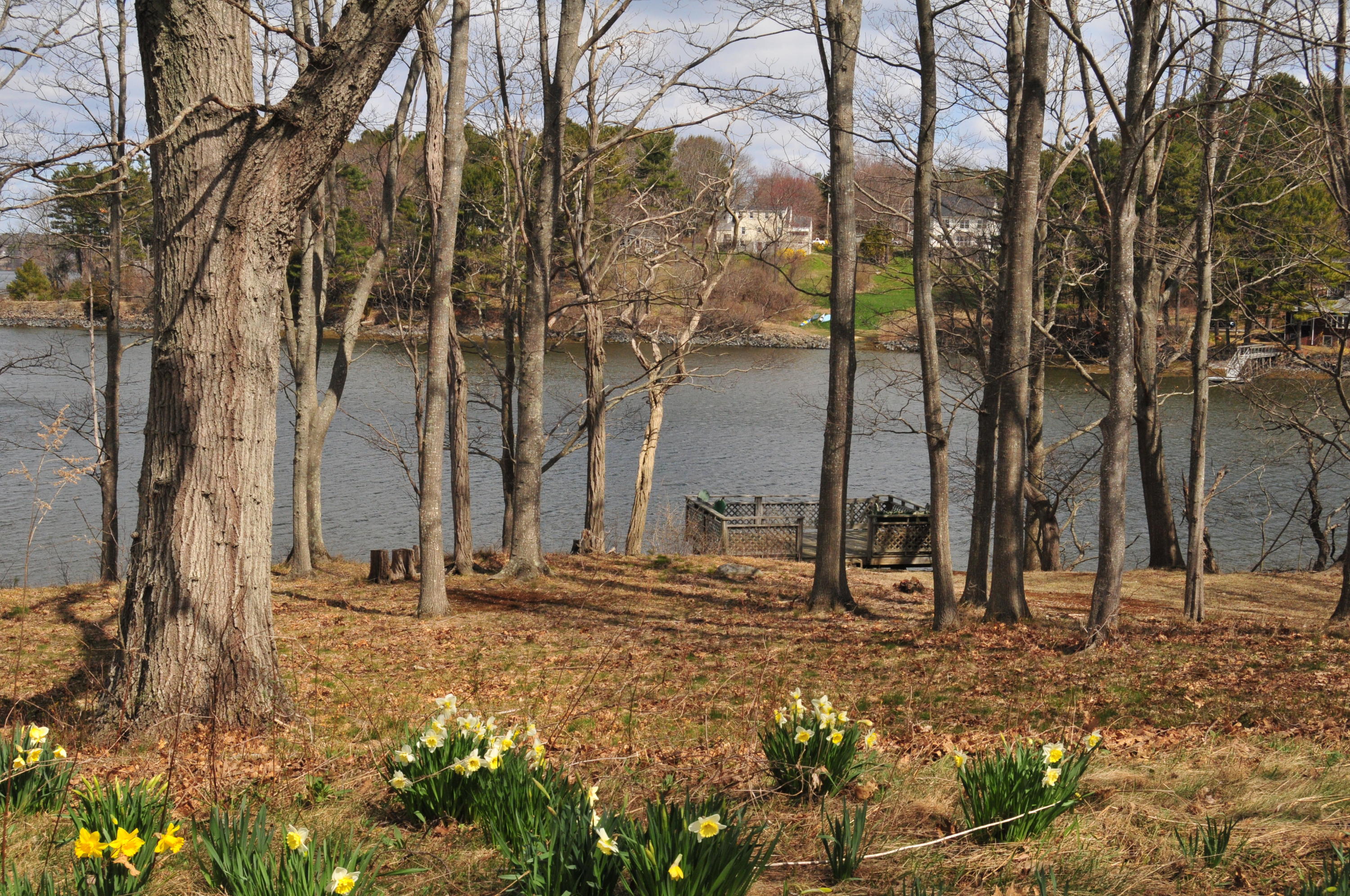 9 Pepperrell Road Kittery Point, ME 03905 - Photo 6 of 21 DSC_2517