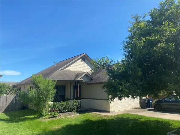 a view of a backyard with plants and a large tree
