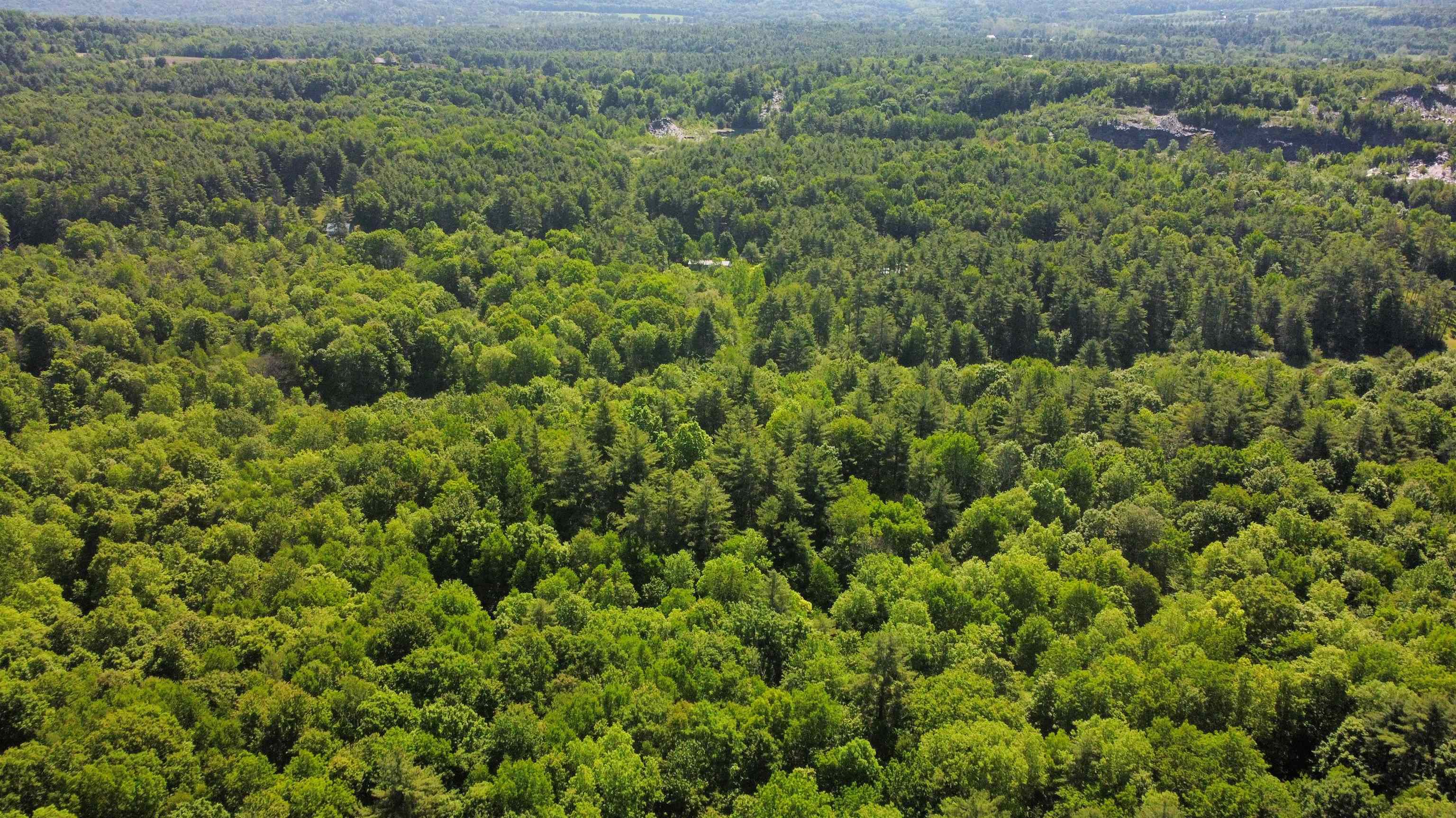 0 Bullfrog Hollow Road Wells, VT 05774 - Photo 15 of 26