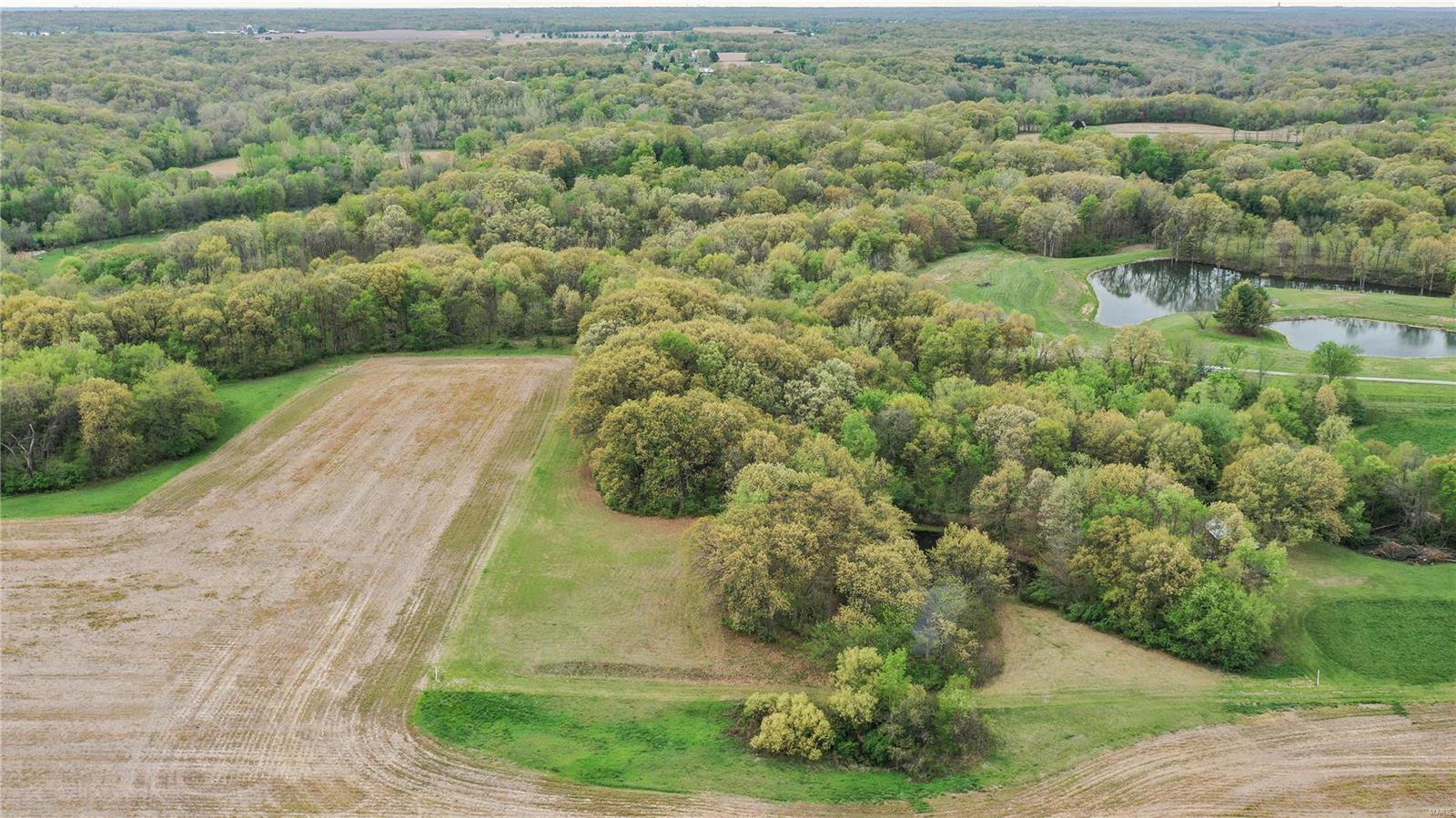 0 Grange Hall Road Jerseyville, IL 62052 - Photo 4 of 21