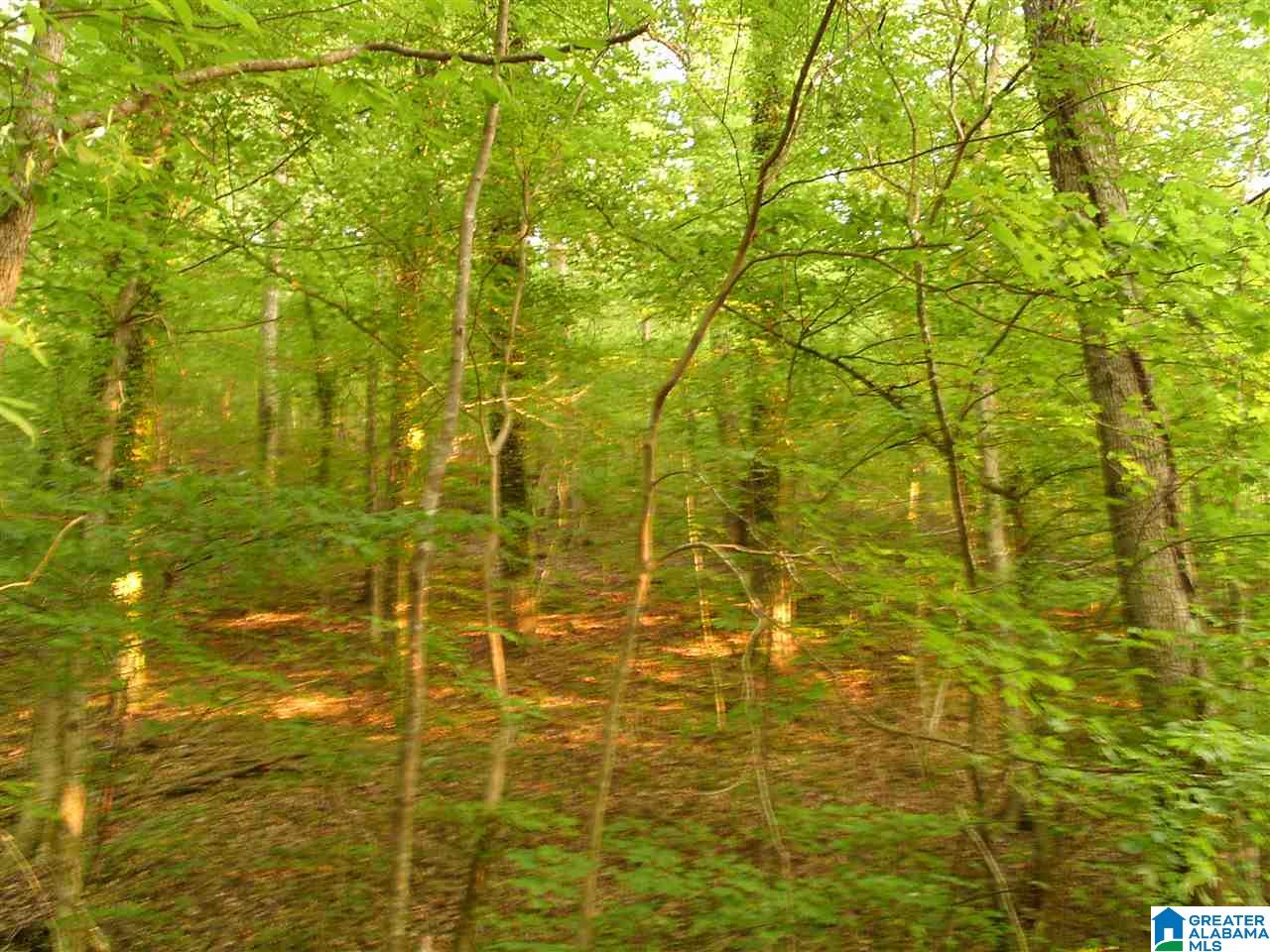 720 Bluff Creek Club Road Quinton, AL 35130 - Photo 2 of 29