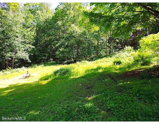 45 Bray Road Shelburne Falls, MA 01370 - Photo 14 of 18 a view of yard with large trees