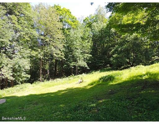 45 Bray Road Shelburne Falls, MA 01370 - Photo 15 of 18 a view of a yard with large trees