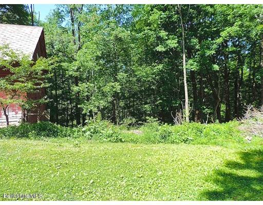 45 Bray Road Shelburne Falls, MA 01370 - Photo 16 of 18 a backyard of a house with lots of green space
