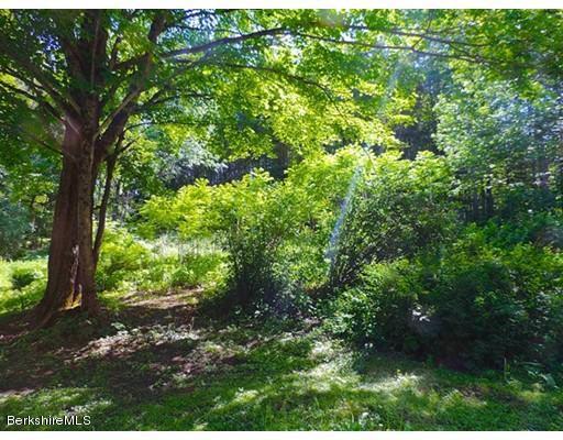 45 Bray Road Shelburne Falls, MA 01370 - Photo 17 of 18 a view of outdoor space and garden