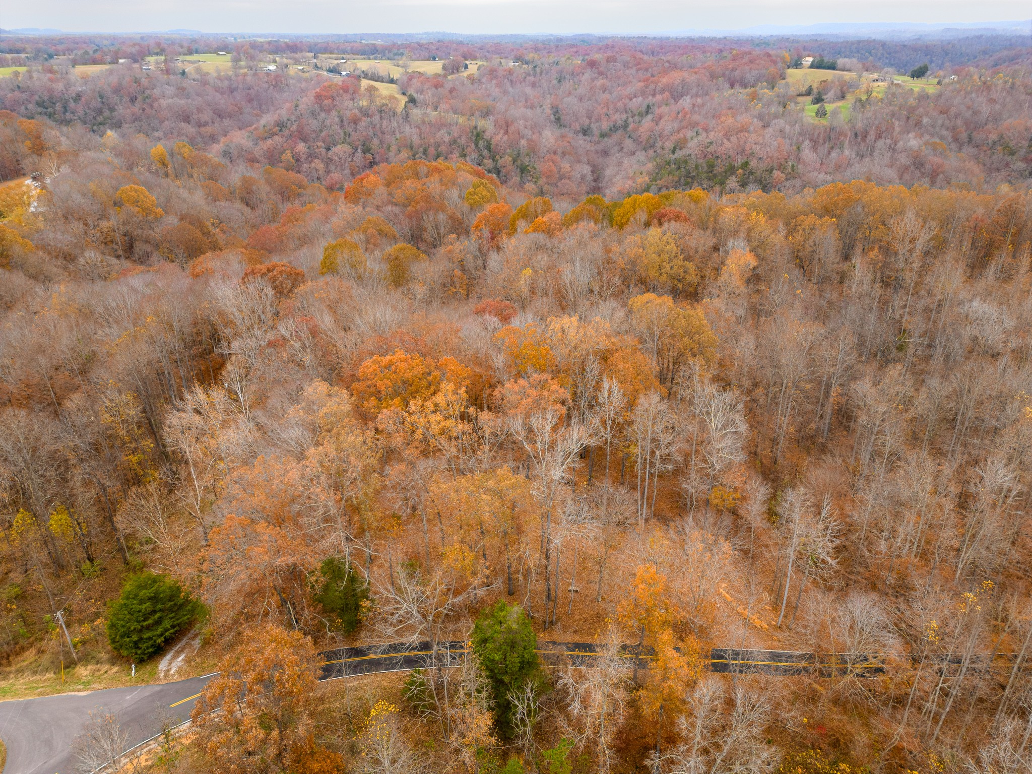 2090 Bolestown Loop Alpine, TN 38543 - Photo 1 of 13 a view of city and mountain