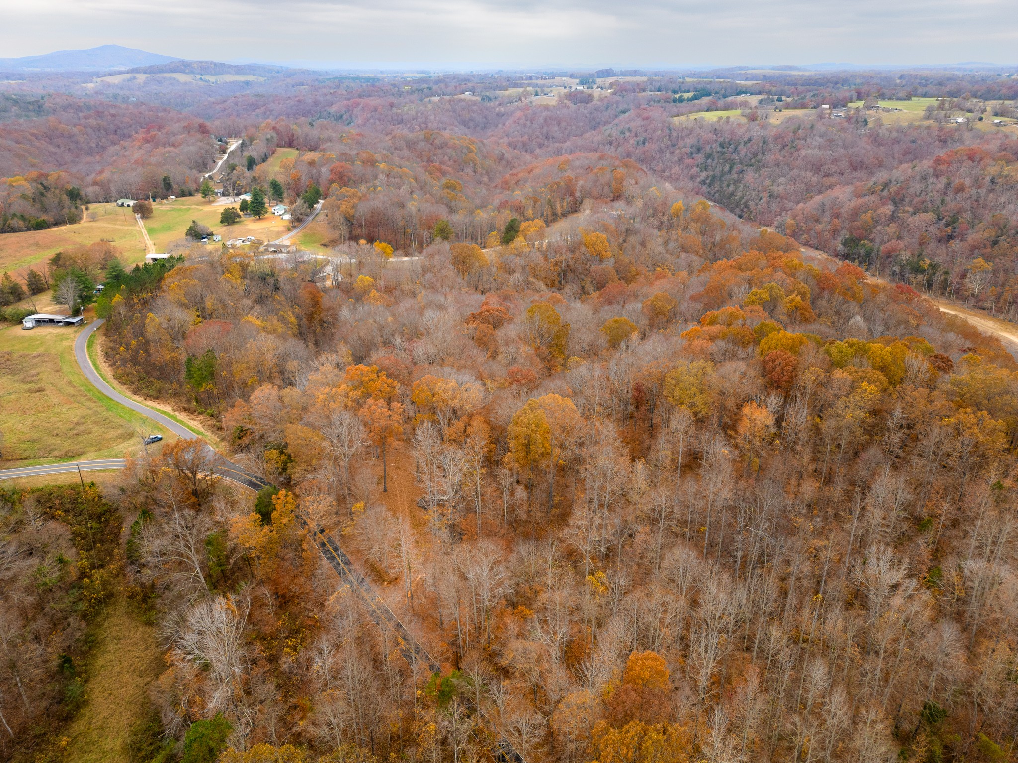 2090 Bolestown Loop Alpine, TN 38543 - Photo 11 of 13 an aerial view of residential houses with outdoor space and trees