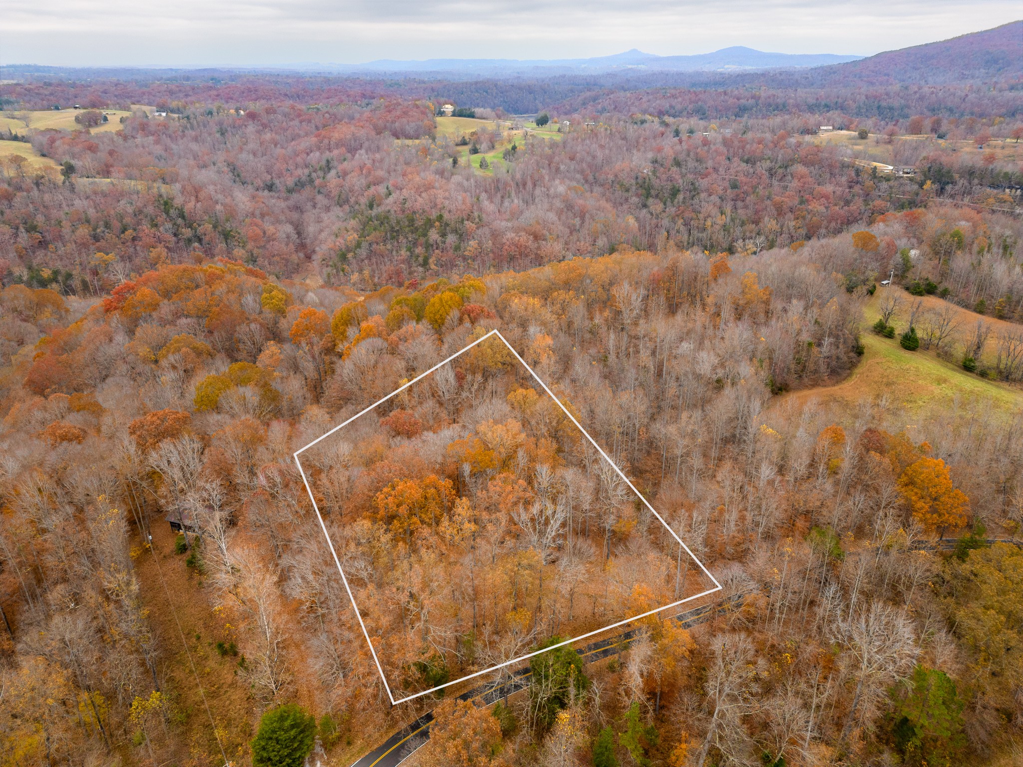 2090 Bolestown Loop Alpine, TN 38543 - Photo 3 of 13