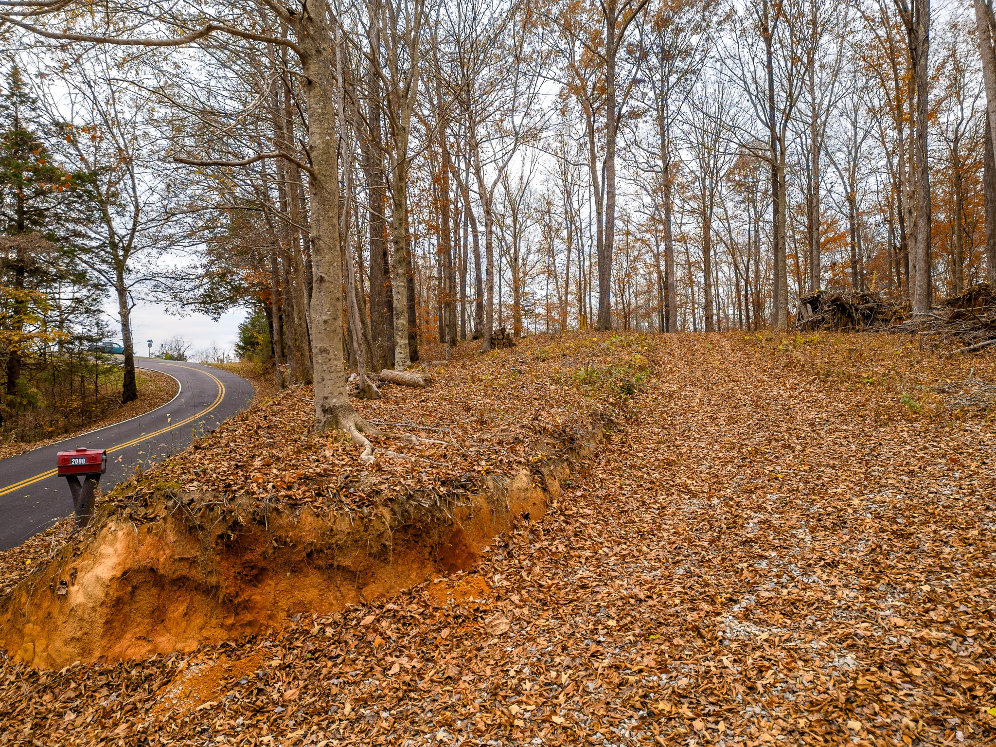 2090 Bolestown Loop Alpine, TN 38543 - Photo 7 of 13
