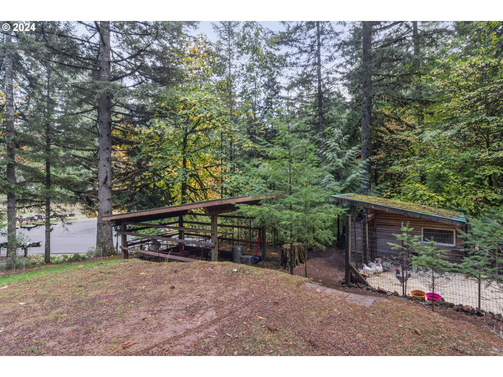 36568 Parsons Creek Road Springfield, OR 97478 - Photo 33 of 45 Gallery Image 33