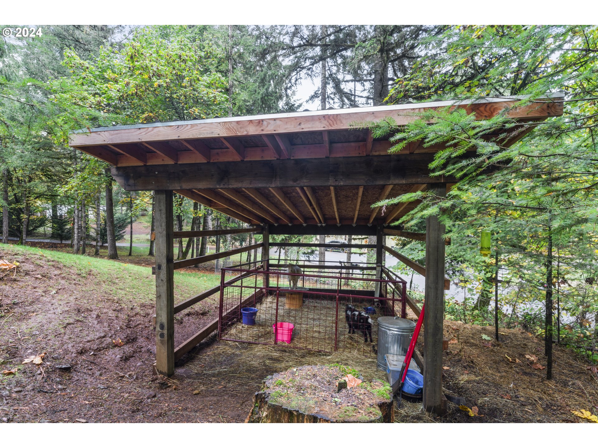 36568 Parsons Creek Road Springfield, OR 97478 - Photo 34 of 45 Gallery Image 34