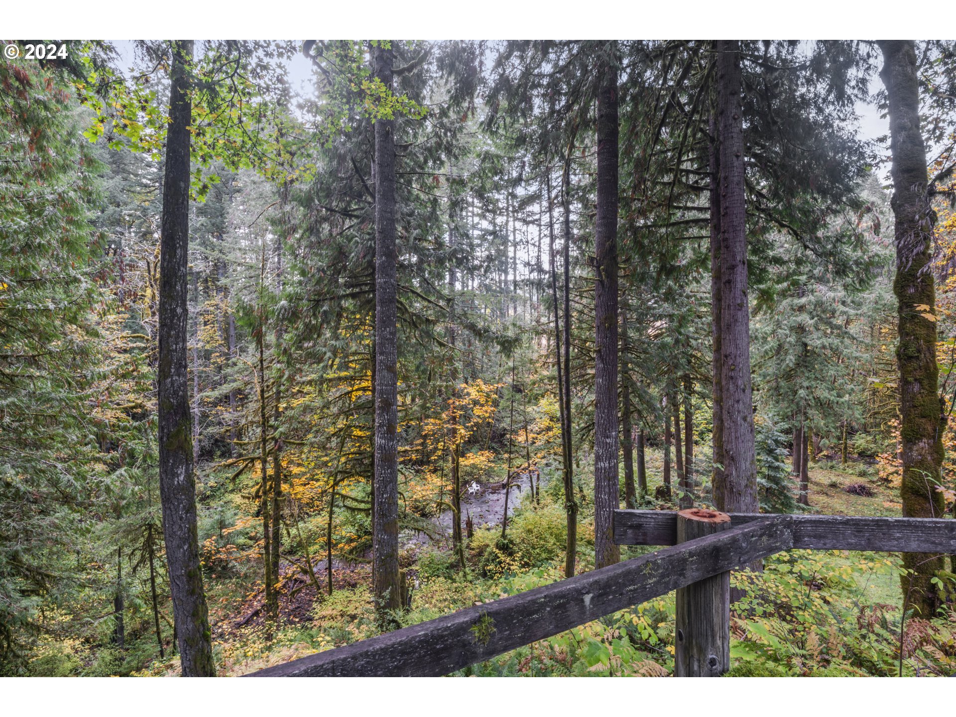 36568 Parsons Creek Road Springfield, OR 97478 - Photo 36 of 45 Gallery Image 36