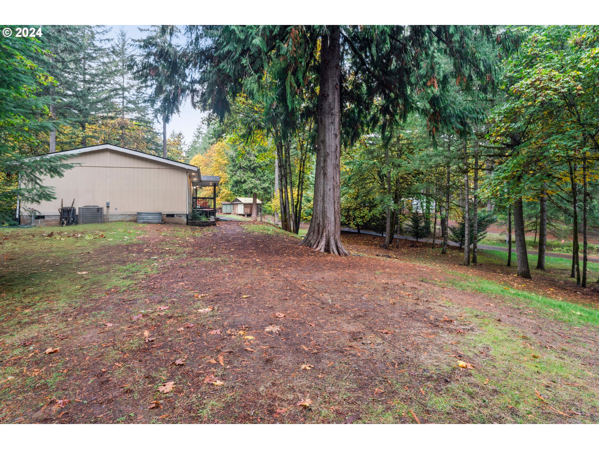 36568 Parsons Creek Road Springfield, OR 97478 - Photo 5 of 45 Gallery Image 5