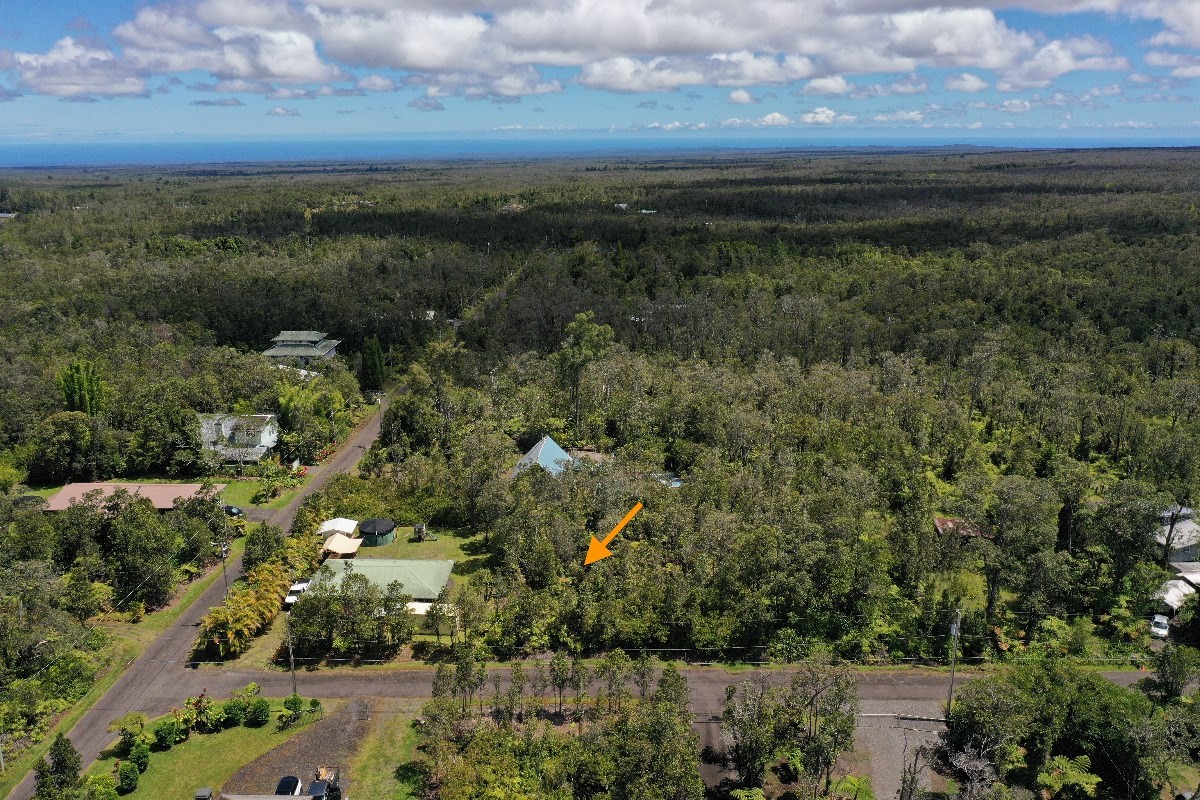 an aerial view of residential houses with outdoor space and trees